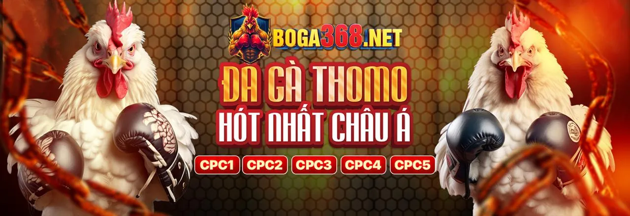 Đá Gà Trực Tuyến win1 link vào
